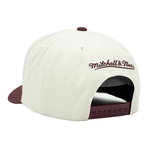 Dick Destroyer Mitchell & Ness Original A-Frame, bakifrån